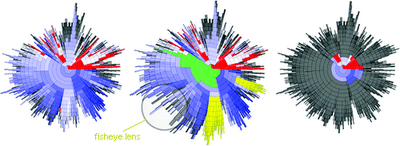 Radial clustergram